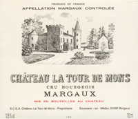 Château La Tour de Mons 2009 (Margaux - rouge)
