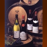 Domaine Moillard - 1er Cru Les Thorey 1996 (Nuits Saint Georges - rouge)