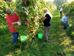 Domaine du Ry d'Argent