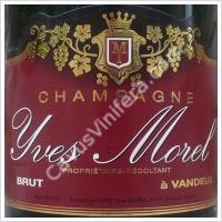 champagne yves morel