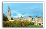 Vineyards of Bordeaux