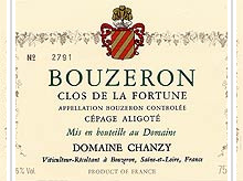 Domaine Chanzy - Clos de la Fortune