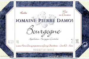 Domaine Pierre Damoy