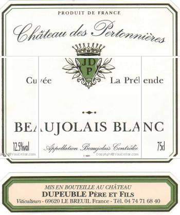 Château des Pertonnières