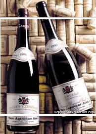 Domaine Raymond Roure - Paul Jaboulet