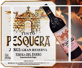 Tinto Pesquera Janus Gran Reserva