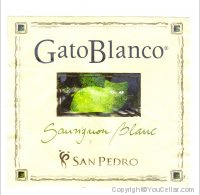 Gato Blanco - Sauvignon