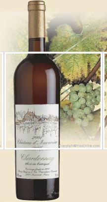 Château d'Auvernier - Chardonnay élevé en barriques