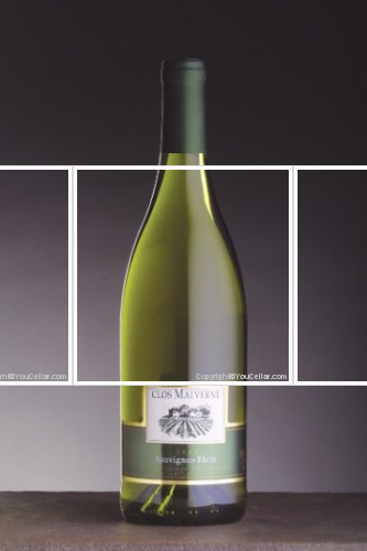 Clos Malverne, Sauvignon Blanc