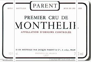 Domaine Parent - Clos Gauthey