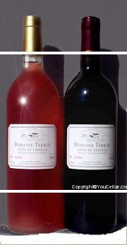 Domaine Terrus