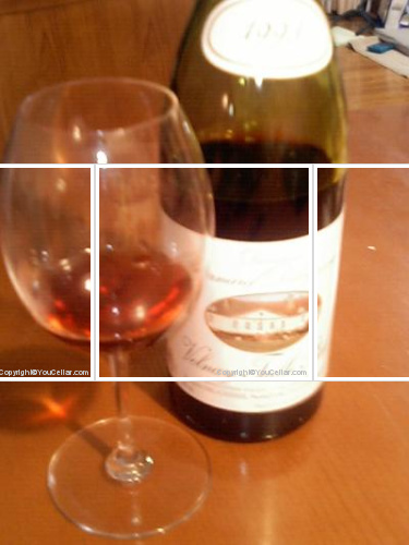 Domaine Bernard Delagrange - 1er cru