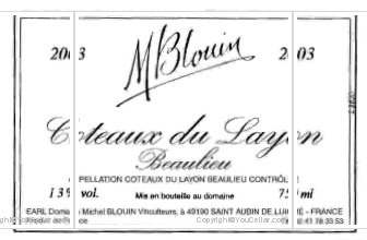 Domaine Michel Blouin
