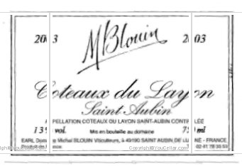 Domaine Michel Blouin