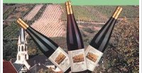 Cave de Turckheim - Pinot blanc