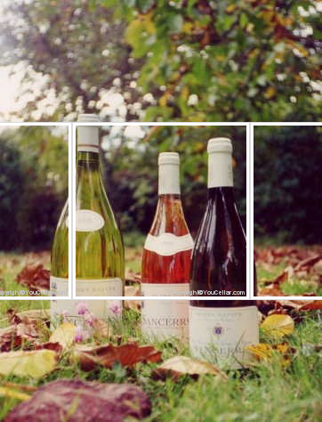 Domaine Henry Natter