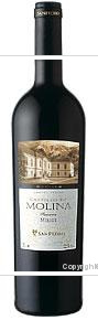 Castillo de Molina Merlot Reserva