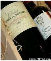 Château Croix de Bonnin