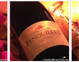 Domaine de Fenouillet