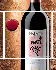 Enate - Crianza
