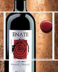 Enate - Merlot Merlot