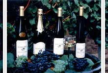 Domaine Allimant-Laugner - Grand Cru Praelatenberg