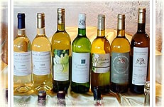 Domaine des Cassagnoles - Colombard Sauvignon