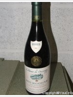 Château de Sassangy - Clos du Prieuré
