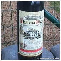 Château Divon
