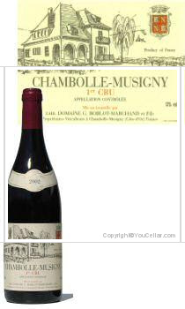 Domaine Roblot-Marchand - 1er Cru Les Pas de Chats