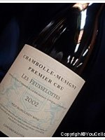 Domaine Thibault Liger-Belair - 1er Cru Les Feusselottes