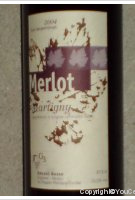 Gérald Besse - Les Serpentines - Merlot