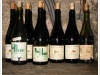 Clos du Tue-Boeuf - Caillere