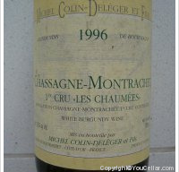 Domaine Michel Colin-Deléger - 1er Cru Les Chaumées