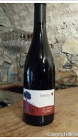 Domaine des Vigneaux - Merlot