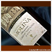 Castillo de Molina Cabernet Sauvignon Reserva
