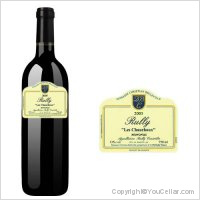 Domaine Christian Belleville - Les Chauchoux