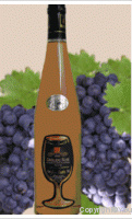 Domaine Le Grand Fé - Grolleau
