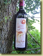 Domaine des Souleilles - Coup de Foudre