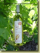Domaine des Souleilles - Fleur de Vigne