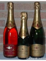 Doyard-Mahé - Carte d'Or Brut