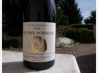 Vin des Fossiles Gamay Vieilles Vignes