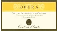 Cantina Arceto - Opera