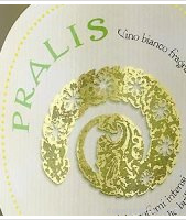 Paladin - Pralis