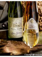 Domaine Léon Bleesz - Riesling Schieferberg Vieilles vignes