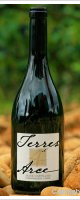 Domaine Michelas St Jemms - Terres d'Arce