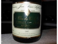 Domaine Jean-Louis Robin-Diot - Clos du Cochet