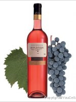 Jean Rivier - Malbec