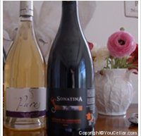 Domaine Sainte-Cécile du Parc - Sonatina