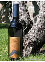 Roduit André - Combe d'Enfer - Merlot